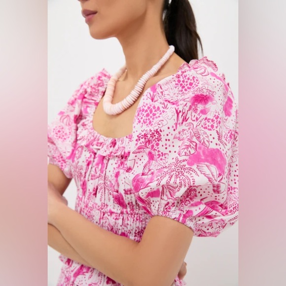TUCKERNUCK RO'S GARDEN SOLD OUT!! Pink Anaplois Percy Midi Dress XL NWT GORGEOUS - Picture 5 of 10